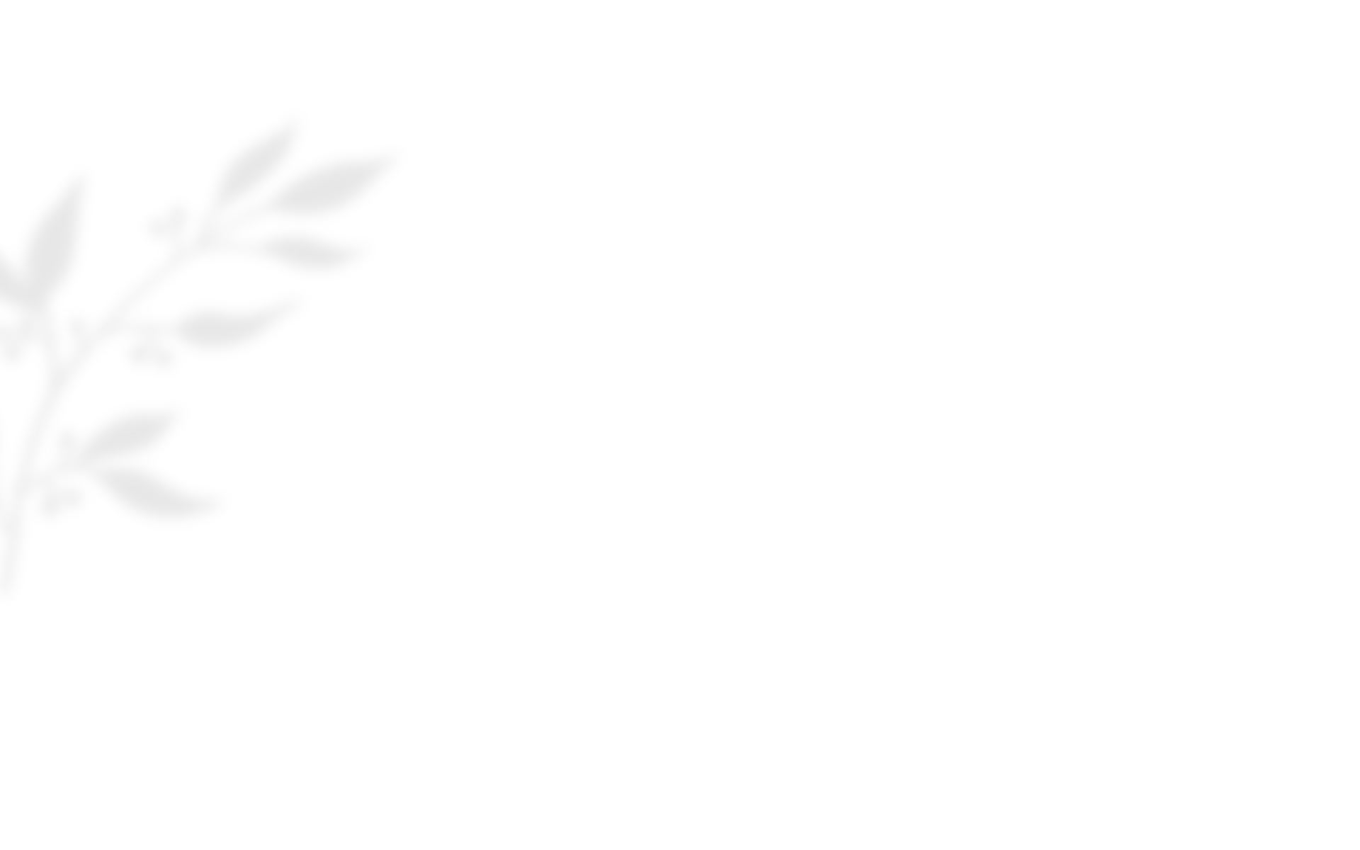 https://tuiterazfilmyslubne.pl/wp-content/uploads/2020/10/shadow_leaves_03.png